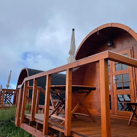 Parque de Campismo The Tiny Black Bird *