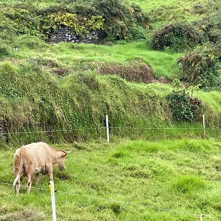 Parque de Campismo The Tiny Black Bird