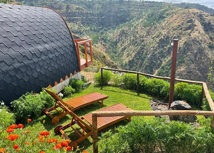 The Tiny Black Bird Fajã da Ovelha