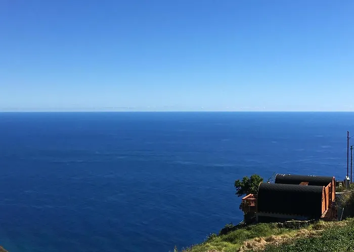 Kemp The Tiny Black Bird