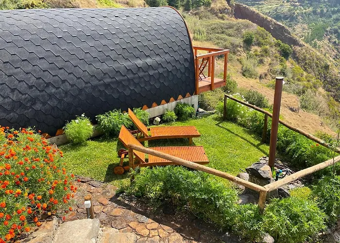 The Tiny Black Bird Kemp *