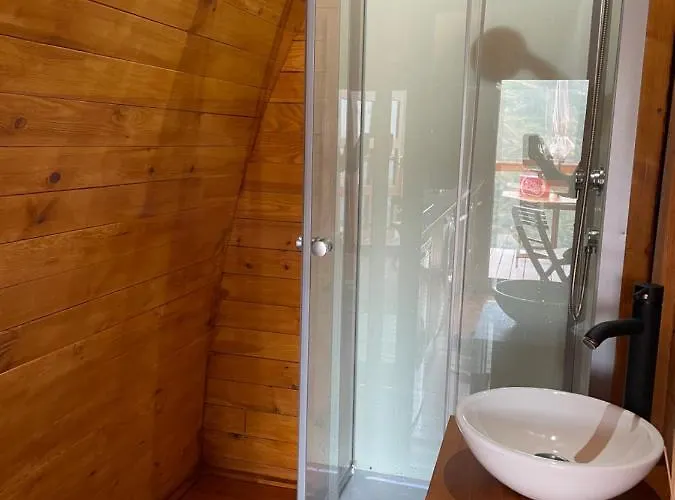 The Tiny Black Bird *