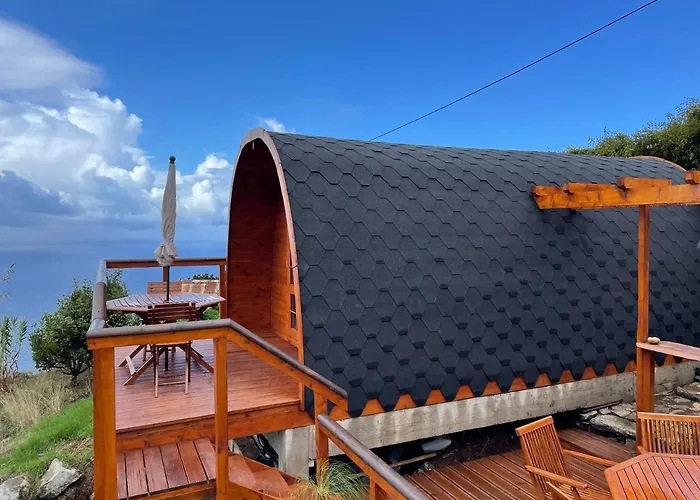 The Tiny Black Bird Kemp