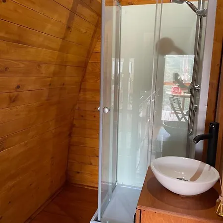 The Tiny Black Bird *