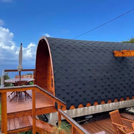 The Tiny Black Bird Camping