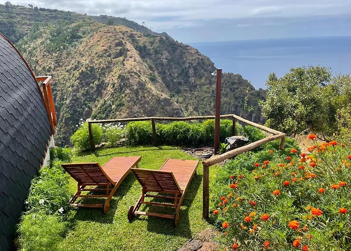 The Tiny Black Bird Kemping *